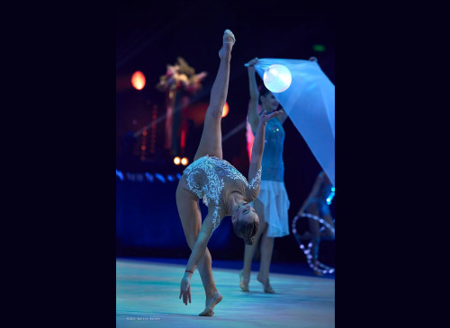 Светодиодный мяч для художественной гимнастики L (18,5 см)